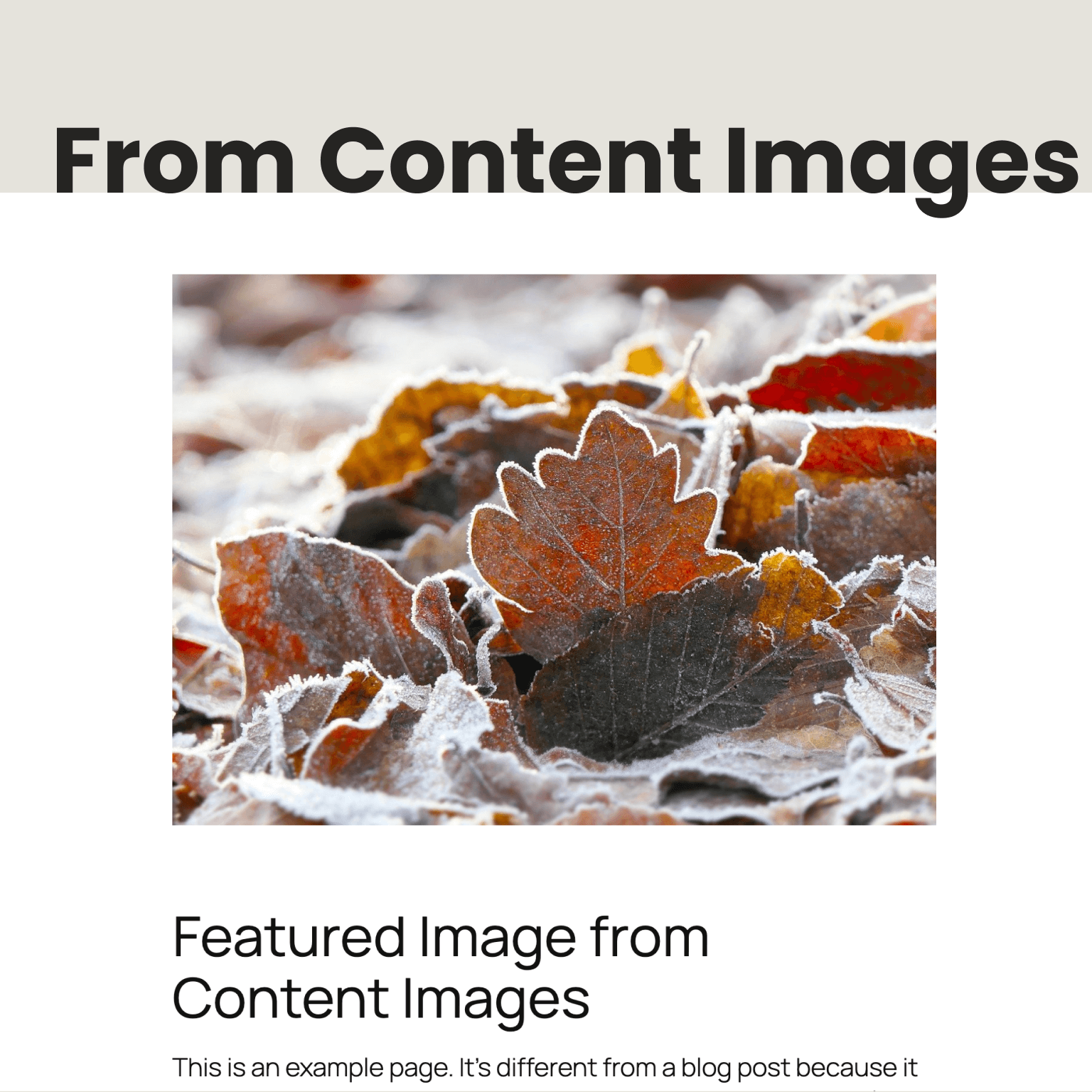 Really Simple Featured Image screenshot 2